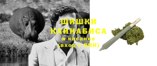 мдпв Магас