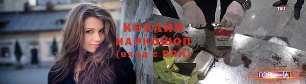 мдпв Магас