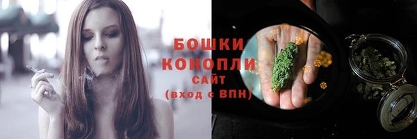 мдпв Магас
