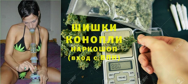 мдпв Магас