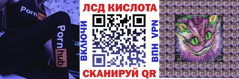 где найти наркотики  Эртиль  Наркотические марки 1500мкг 