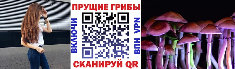 Псилоцибиновые грибы мицелий  kraken маркетплейс  Эртиль 